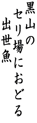 R  Zɂǂ @o